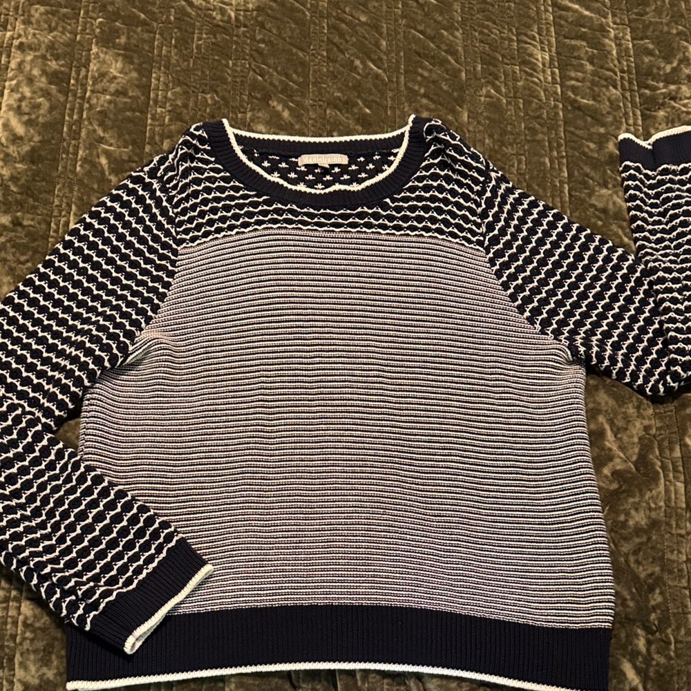 Daniel Rainn Navy and White Crew Neck Sweater